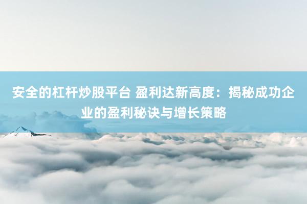 安全的杠杆炒股平台 盈利达新高度：揭秘成功企业的盈利秘诀与增长策略