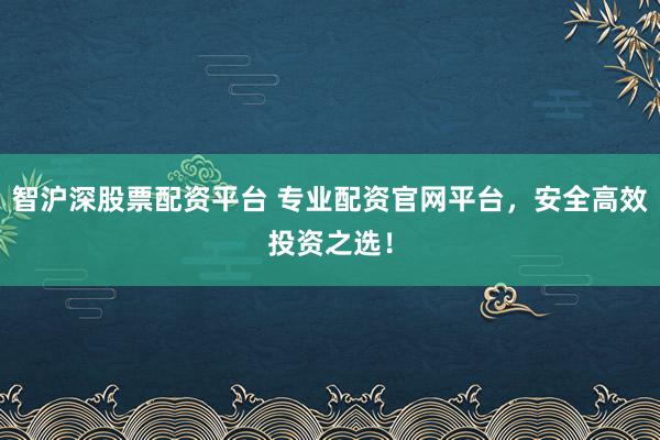 智沪深股票配资平台 专业配资官网平台，安全高效投资之选！