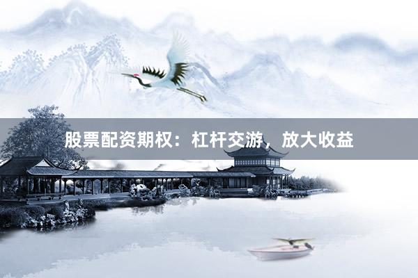 股票配资期权：杠杆交游，放大收益