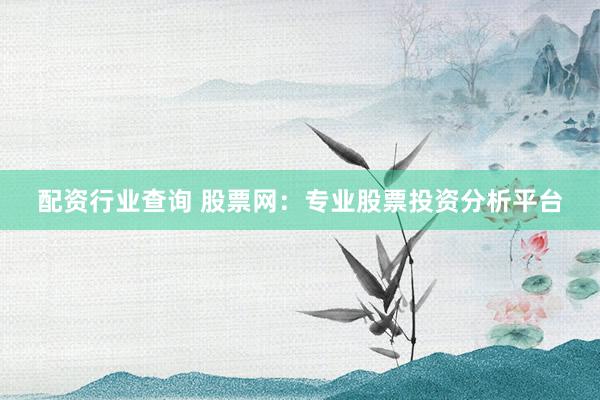 配资行业查询 股票网：专业股票投资分析平台
