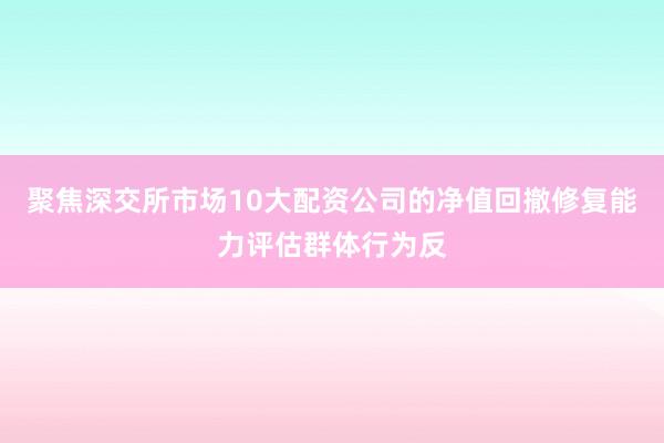 聚焦深交所市场10大配资公司的净值回撤修复能力评估群体行为反