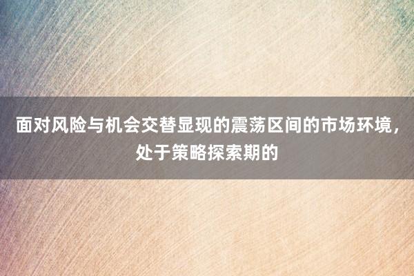 面对风险与机会交替显现的震荡区间的市场环境，处于策略探索期的