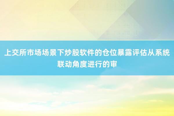 上交所市场场景下炒股软件的仓位暴露评估从系统联动角度进行的审