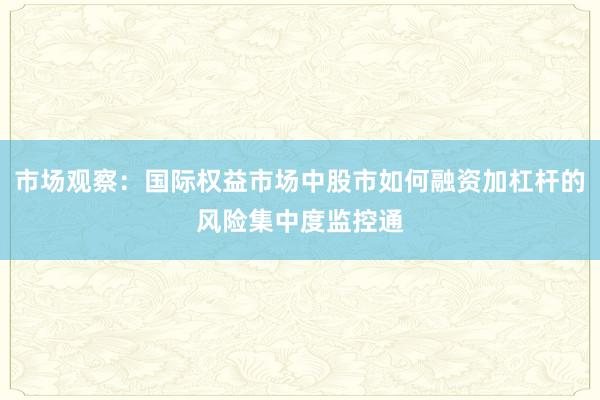市场观察：国际权益市场中股市如何融资加杠杆的风险集中度监控通