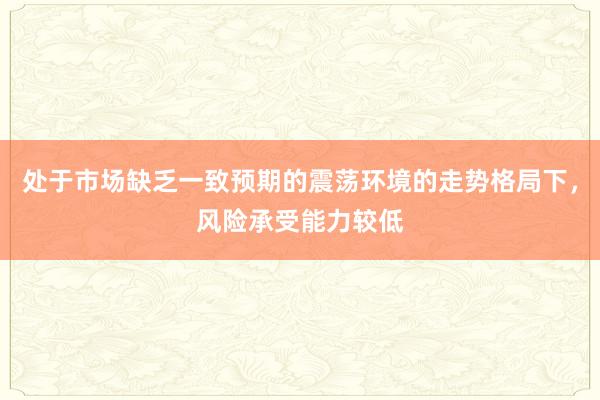 处于市场缺乏一致预期的震荡环境的走势格局下，风险承受能力较低