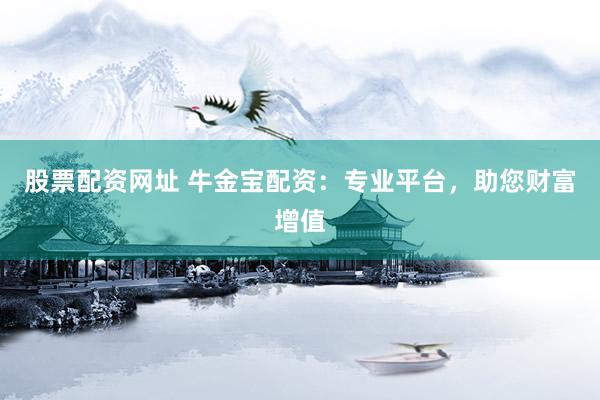 股票配资网址 牛金宝配资：专业平台，助您财富增值