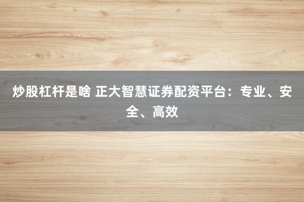 炒股杠杆是啥 正大智慧证券配资平台：专业、安全、高效