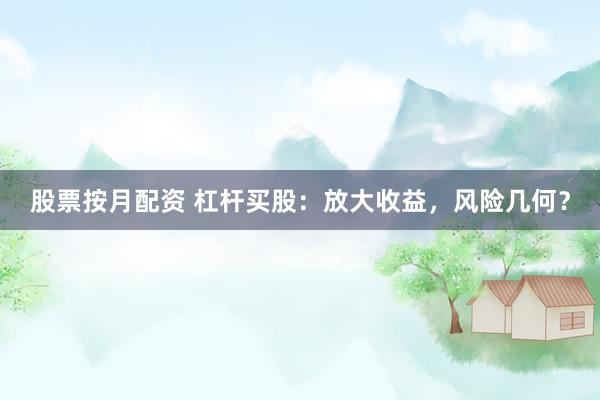 股票按月配资 杠杆买股：放大收益，风险几何？