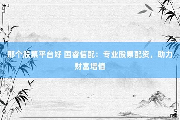 那个股票平台好 国睿信配：专业股票配资，助力财富增值