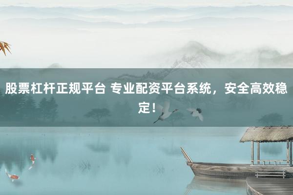 股票杠杆正规平台 专业配资平台系统，安全高效稳定！
